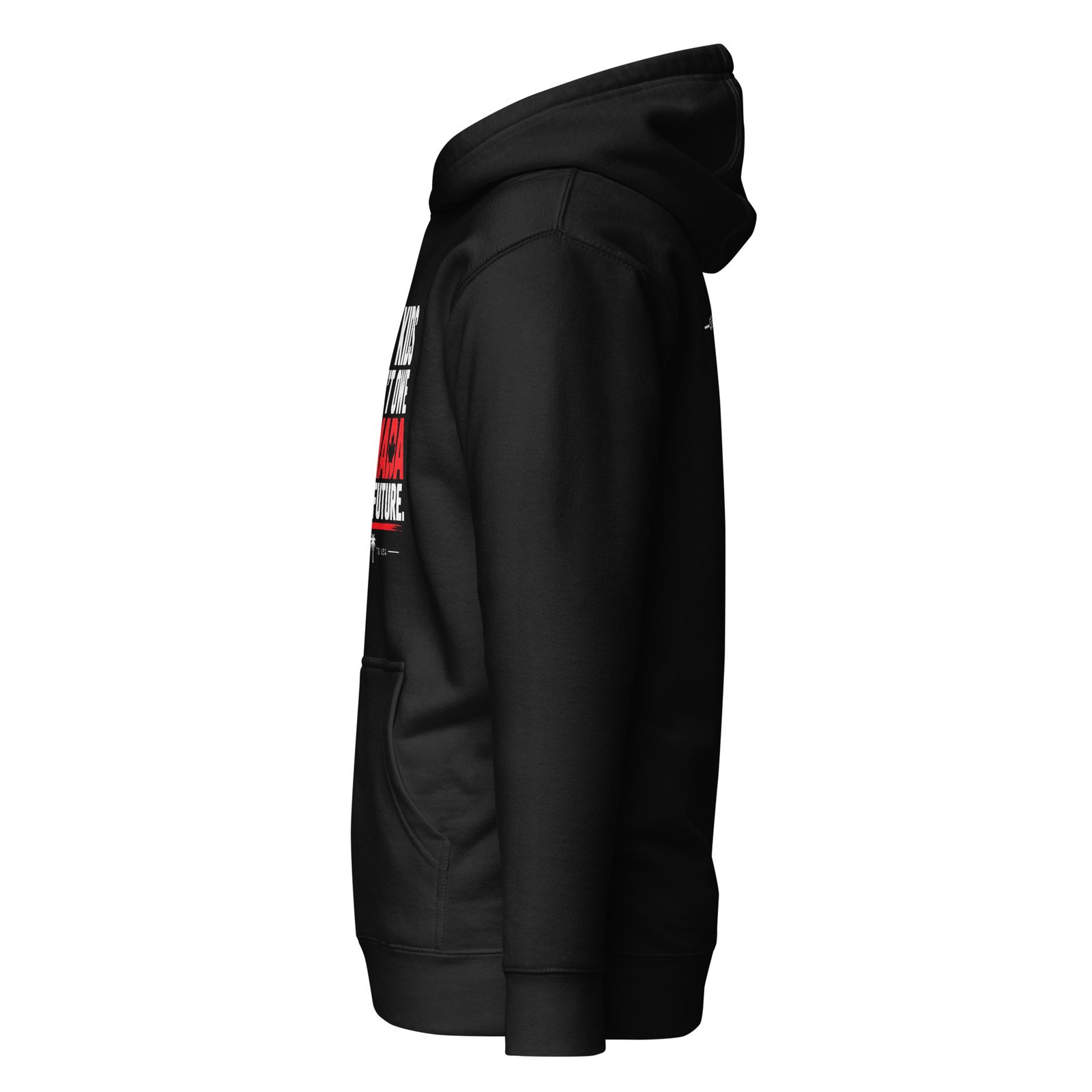 My Kids Don’t Owe Canada Their Future Hoodie - Image 2